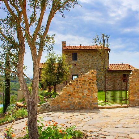 Villa Privata Con Piscina A Riparbella Castellina Marittima Eksteriør billede