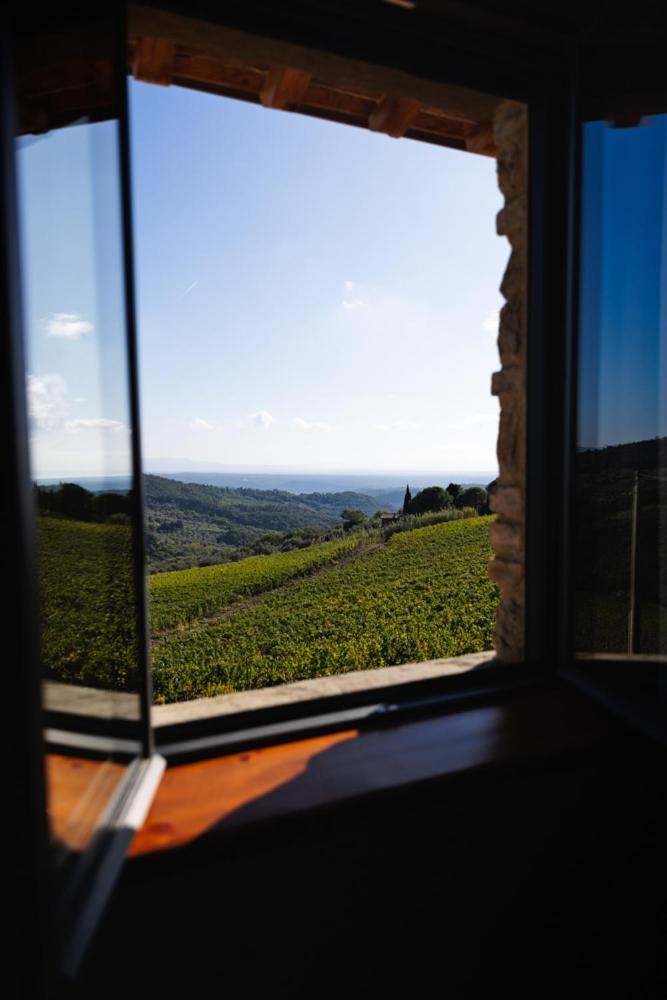 Villa Privata Con Piscina A Riparbella Castellina Marittima Eksteriør billede