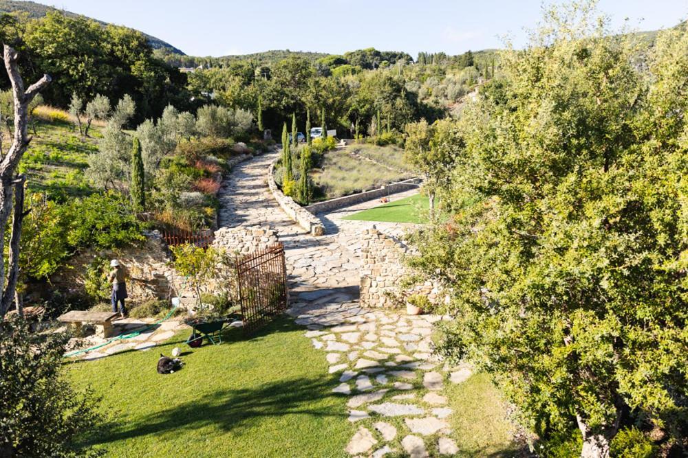 Villa Privata Con Piscina A Riparbella Castellina Marittima Eksteriør billede